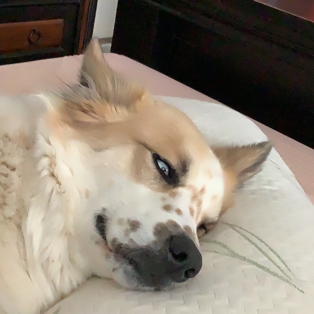 My great buddy.